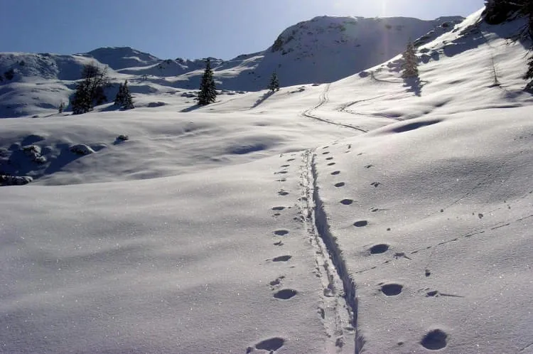 Skitouren